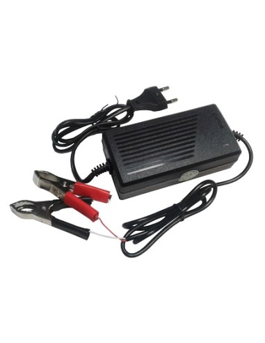 Lead-acid battery charger 24V 2A with crocodile connectors