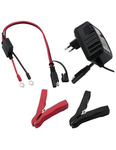 Lead-acid battery charger for cars and motorbikes 6V/12V 0.75A with eyelet connectors and alligator clips - Victory