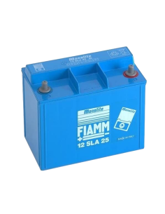 Fiamm FG21202 Batteria ermetica al piombo 12V 12Ah